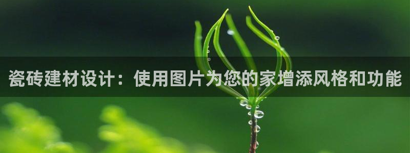 杏鑫娱乐官网首页