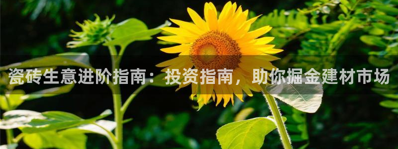 杏鑫平台招商电话号码