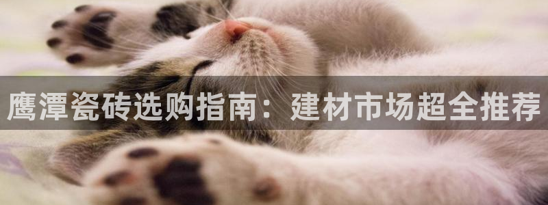杏鑫平台招商怎么样啊