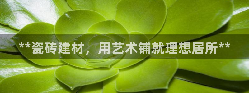 杏鑫平台登陆