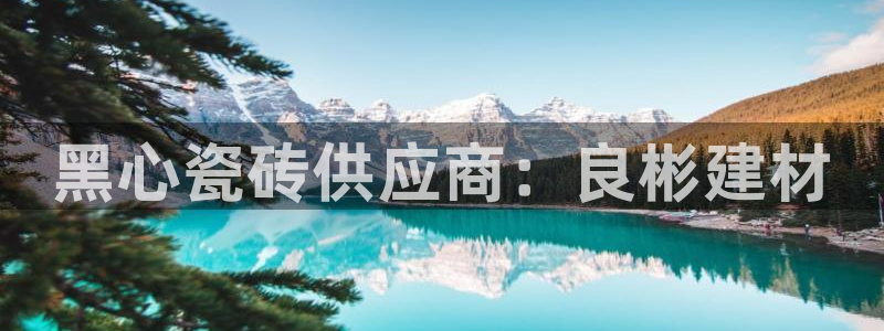 杏鑫平台招商电话号码