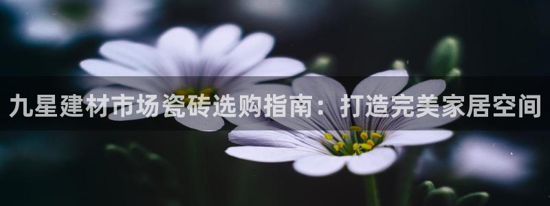 杏鑫平台是黑平台吗