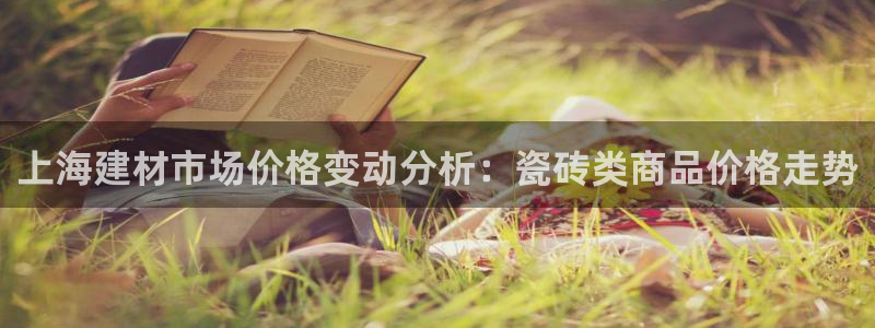 杏鑫平台招商怎么样