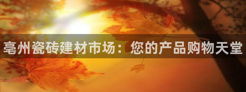 杏鑫平台代理怎么样赚钱