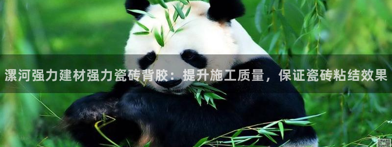 杏鑫娱乐开发团队