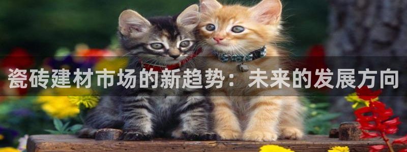 杏鑫娱乐是真的吗