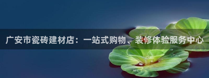 杏鑫平台代理怎么做