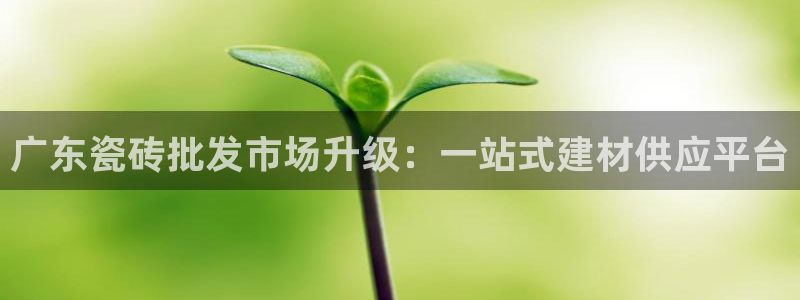 杏鑫娱乐官方网站客户端