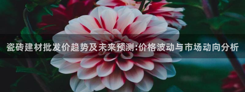 杏鑫官方平台怎么样啊可靠吗