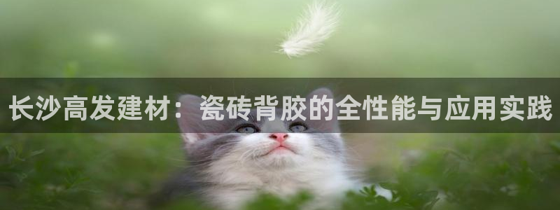 杏鑫平台平台娱乐