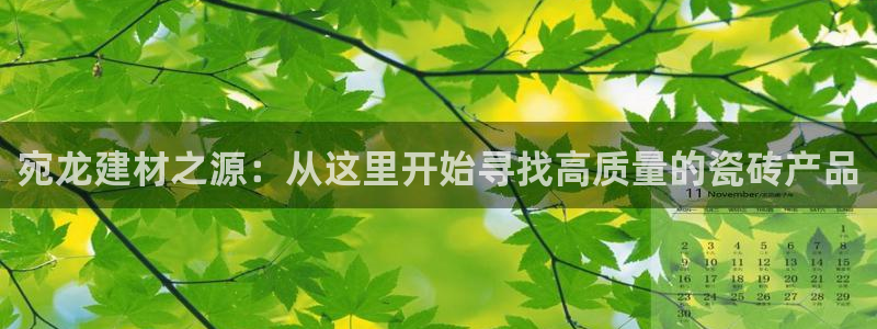 杏鑫官网最新信息