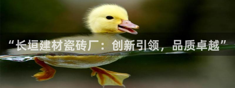 杏鑫平台怎么样黑钱吗安全吗