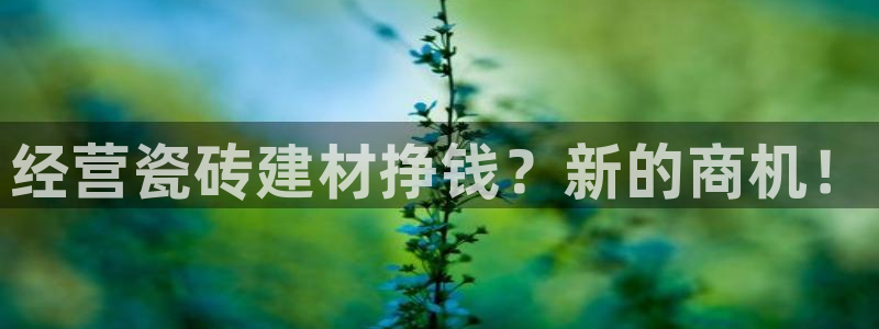 杏鑫平台代理怎么样可靠吗