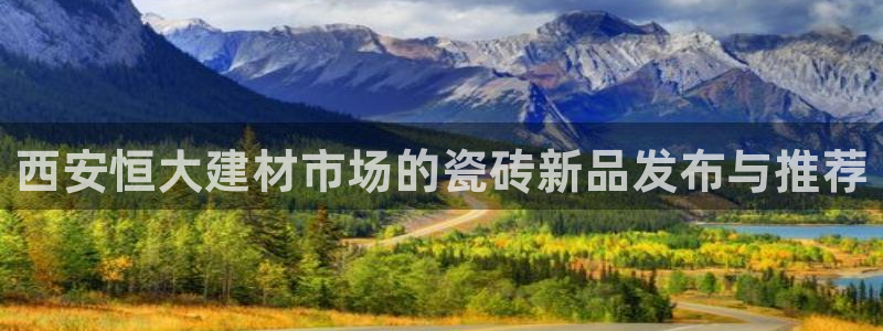 杏鑫官网最新信息新闻