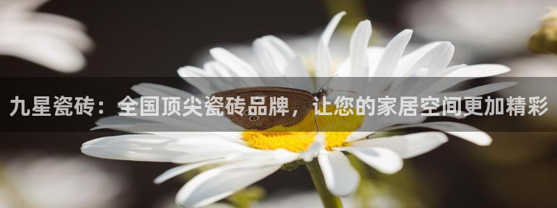 杏鑫平台招商怎么样可靠吗