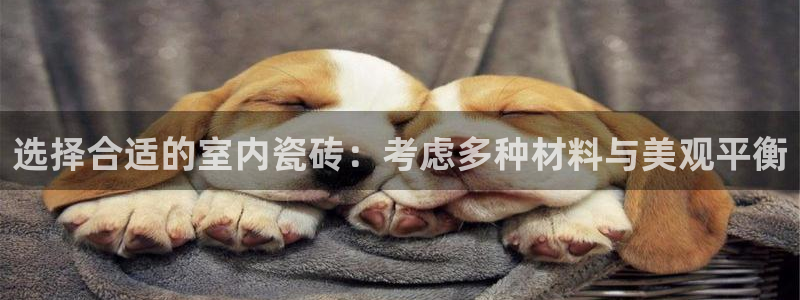 杏鑫平台代理