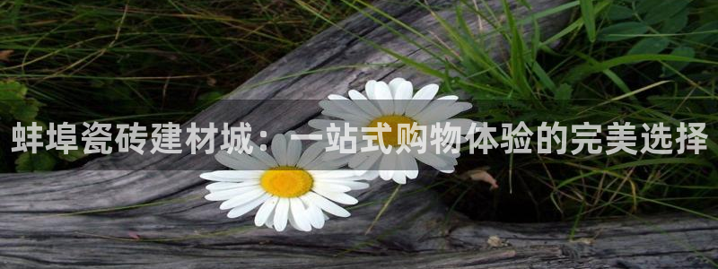 杏鑫平台招商电话号码是多少