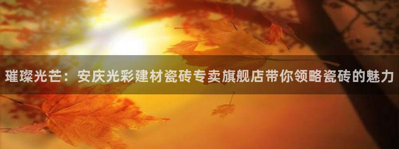 杏鑫官方平台怎么样