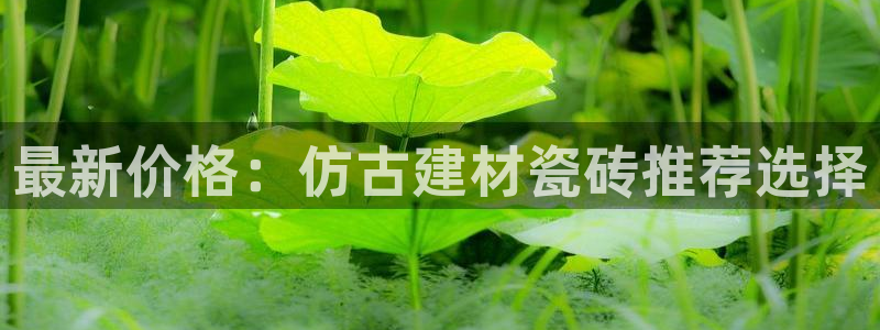 杏鑫平台念7O777