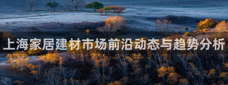 杏鑫平台怎么样