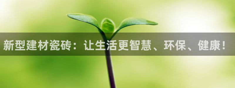 杏鑫官方平台怎么样啊可靠吗