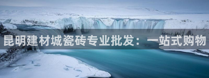 杏鑫手机客户端