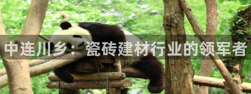 杏鑫注册登录平台是什么