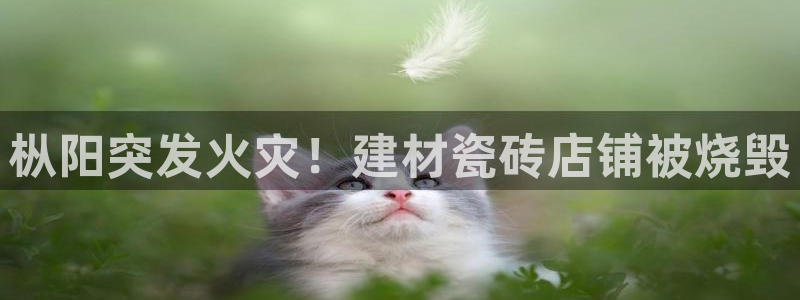 杏鑫注册登录代理公司