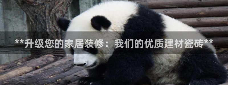 杏鑫注册登录代理