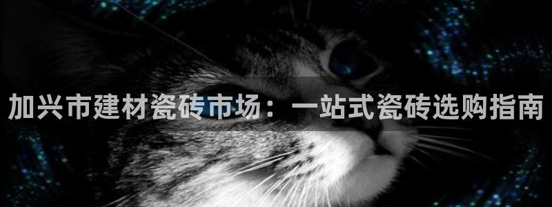 杏鑫娱乐是合法的吗?