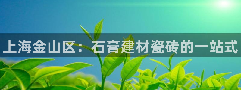 杏鑫平台登录地址在哪