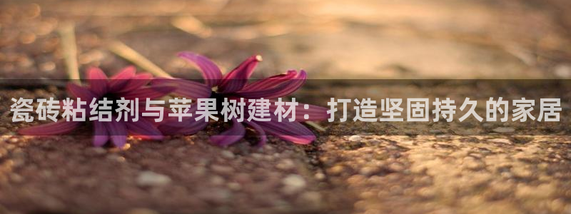 杏鑫平台在线注册