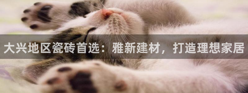 杏鑫平台在线注册流程