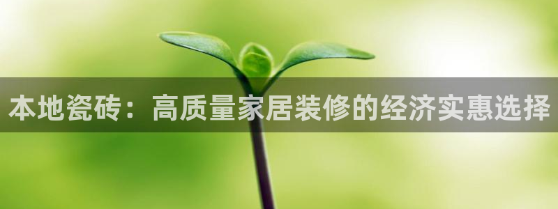 杏鑫平台野马联盟怎么样