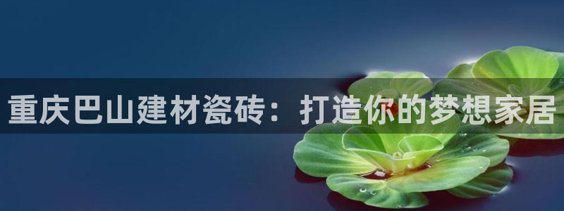 杏鑫代理注册平台