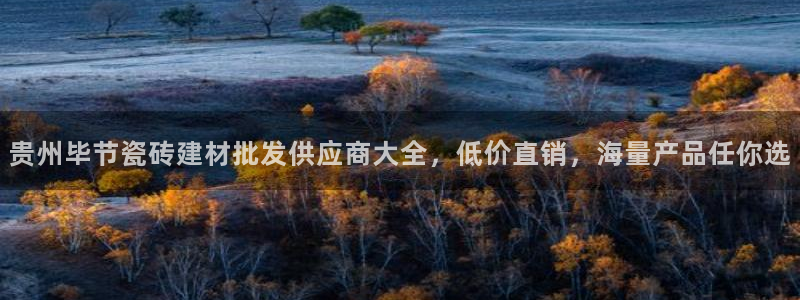 杏鑫平台注册入口在哪