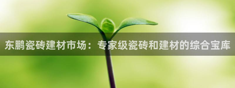 杏鑫娱乐怎么下