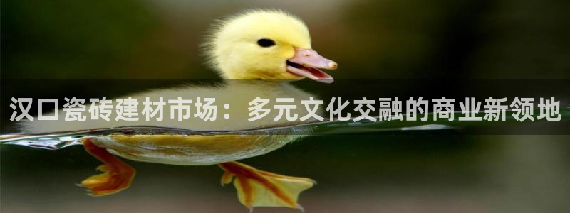 杏鑫平台怎么样黑钱吗安全吗可靠吗