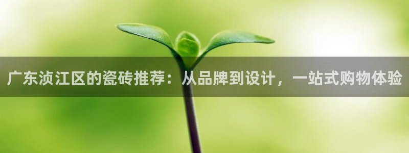 杏鑫注册登录网址是多少