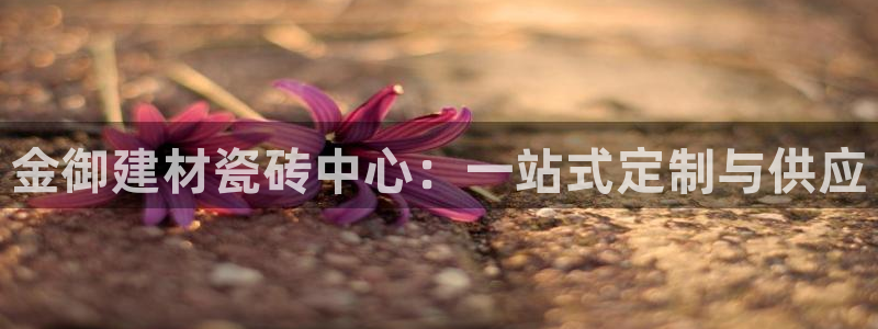 杏鑫官网注册账号是什么意思