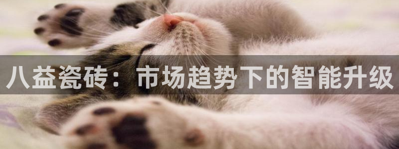 杏鑫平台登录地址在哪