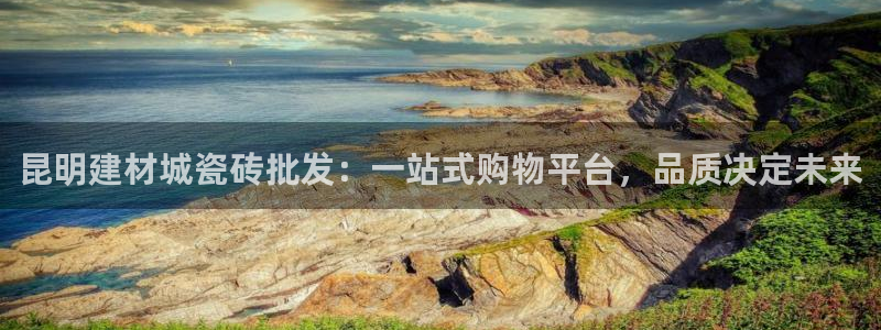 杏鑫平台代理注册登录不了怎么办呀视频