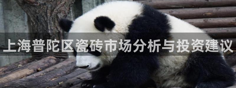 杏鑫娱乐官网下载