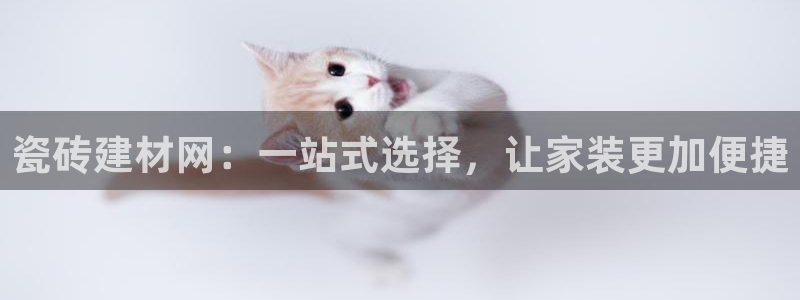 杏鑫平台代理怎么做的