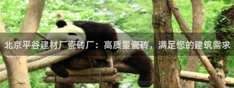 杏鑫平台代理注册流程图