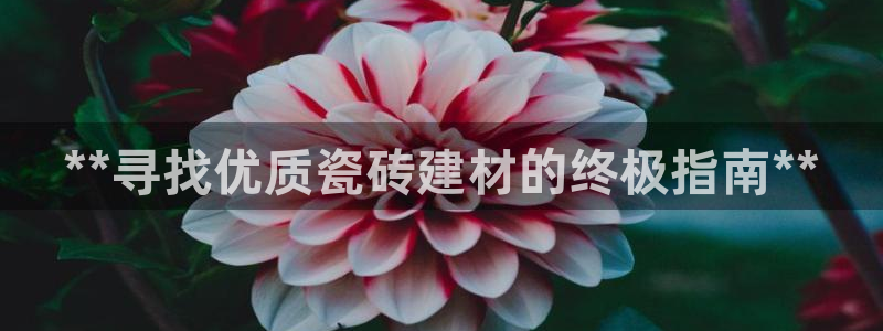 杏鑫代理注册平台