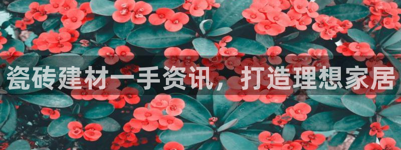 杏鑫平台靠谱吗