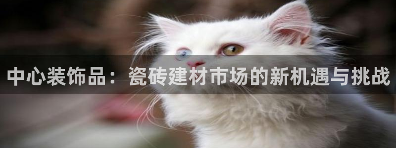 杏鑫娱乐平台测速怎么样