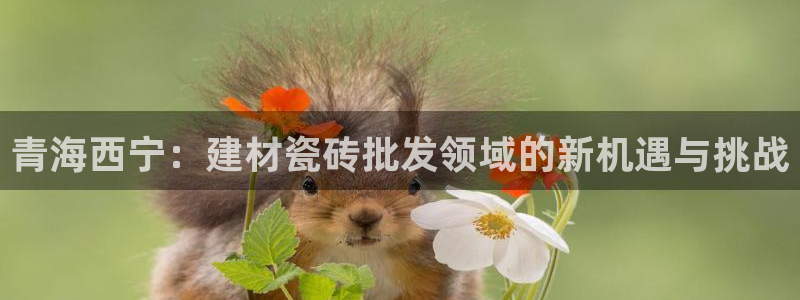 杏鑫平台招商怎么样