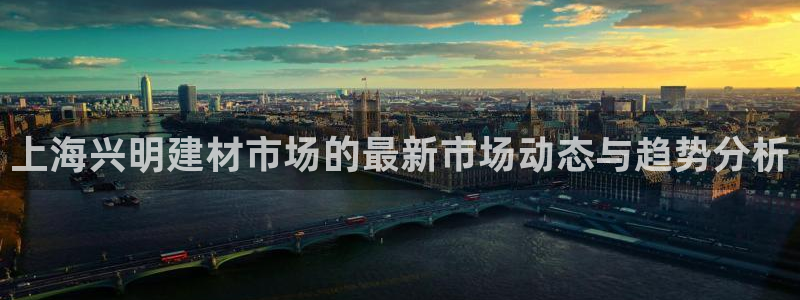 杏鑫平台代理注册流程图